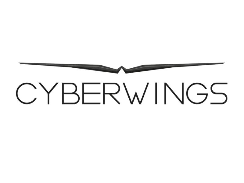 https://www.cyberwings.fr/